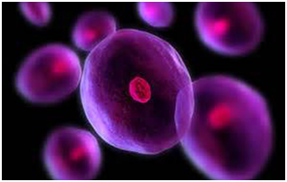 Stem cell：揭开辐射致癌之谜