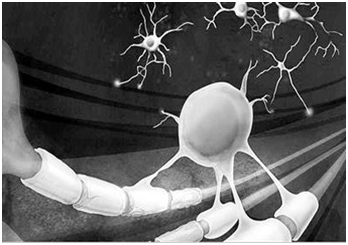 美最新研究：常用药可刺激自身干细胞替代受损脑细胞