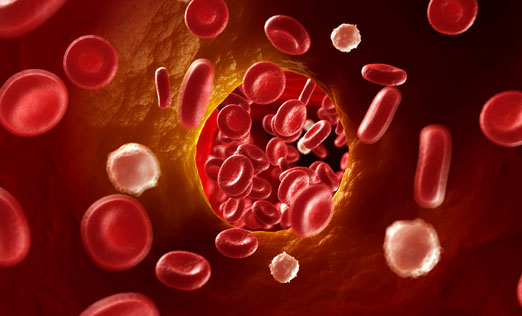  脐带血造血干细胞可有效治疗多种疾病 来源合法是前提
