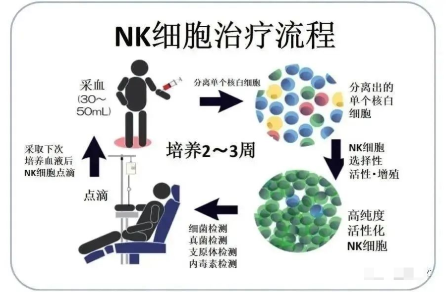 NK细胞免疫疗法，维持年轻和健康的密码