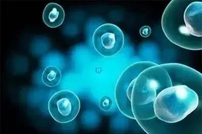  干细胞是珍贵的生物资源，中国已进入全球干细胞治疗领域的第一梯队